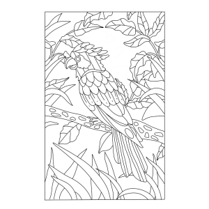 Coloriage perroquet a imprimer